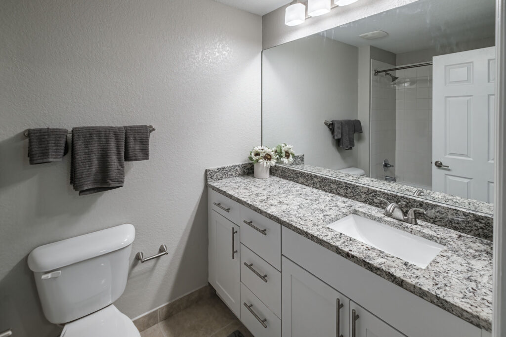 Bathroom with toilet and tub shower